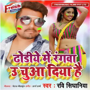 Dhodiye Me Rangwa U Chua Diya Hai image