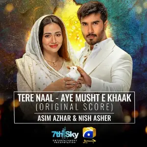 Tere Naal - Aye Musht-E-Khaak (Original Score) image