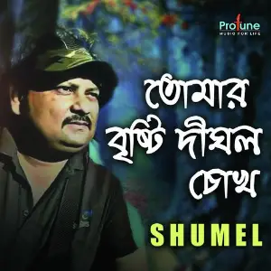 Tomar Bristi Dighol image