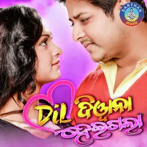 Dil Diwana Heigala image