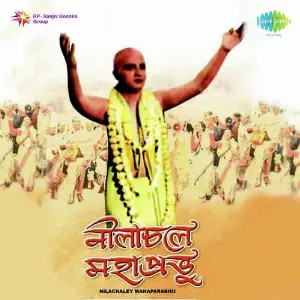 Neelachale Mahaprabhu image