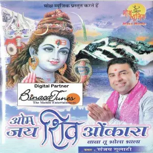 Om Jai Shiv Omkara image