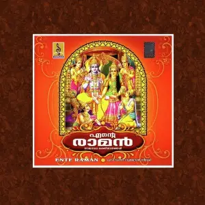 Ente Raman image