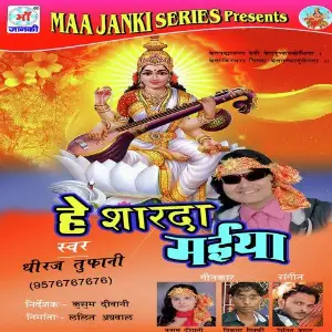 Hey Sharda Maiya image