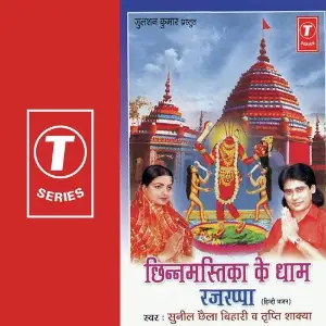 Chinnmastika Ke Dham Rajarppa image