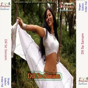 Dil Se Sanam image