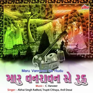 Maru Vanravan Chhe Rudu image