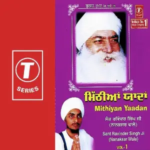 Mithiyan Yaadan (Vol. 1) image