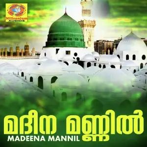 Madeena Mannil image