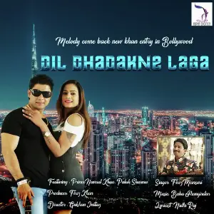 Dil Dhadakne Laga image