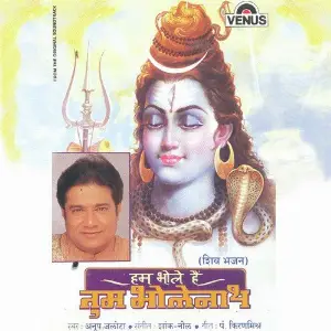 Hum Bhole Hain Tum Bholenaath image