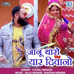 Jaanu Dhoko Degi Re Hardev Mewadi