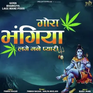 Gora Bhangiya Lage Mane Pyari image