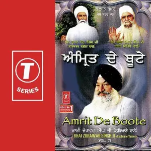 Amrit De Boote (Vol. 7) image