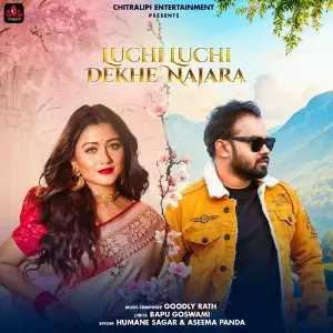 LUCHI LUCHI DEKHE NAJARA image