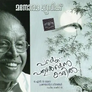 Parayoo Pathukkeyen Kathil image