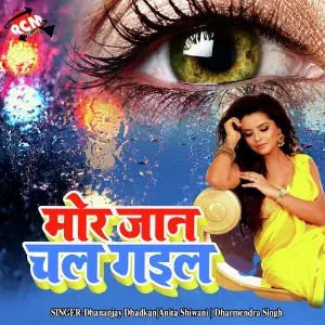 Mor Jaan Chal Gail image