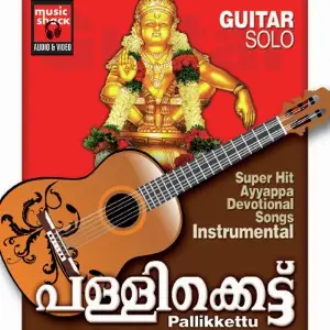 Pallikkettu image