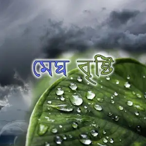 Megh Brishti image