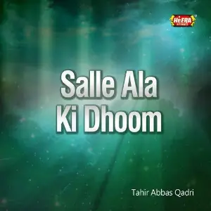 Salle Ala Ki Dhoom image