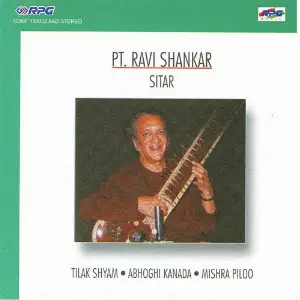 Ravi Shankar Monument Of Strings Sitar image
