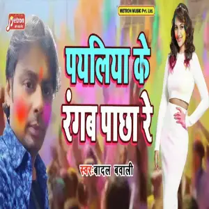 Payaliya Ke Rangab Pacha Re image