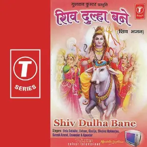 Shiv Dulha Bane image