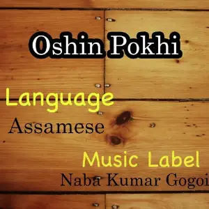 Oshin Pokhi image