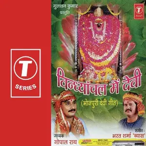 Vindhyanchal Mein Devi image