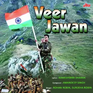 Veer Jawan image