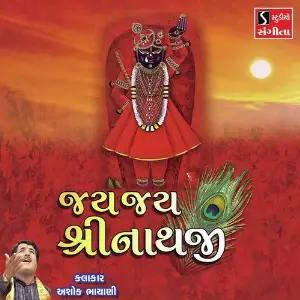 Jai Jai Shrinathji image