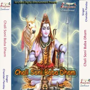 Chali Soni Baba Dham image