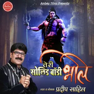 Teri Solid Body Bhole image
