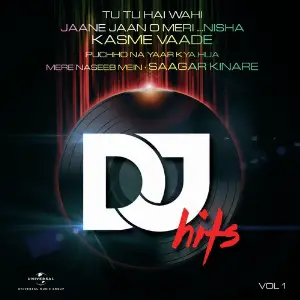DJ Hits, Vol. 1 image