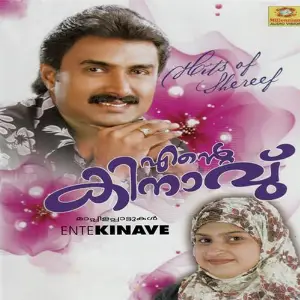 Ende Kinavu image