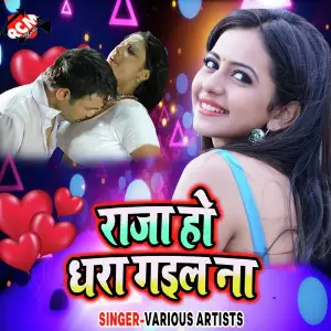 Raja Ho Dhara Gaila image