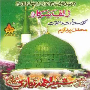 Zulf-e-Sarkar image