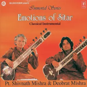 Emotions Of Sitar image