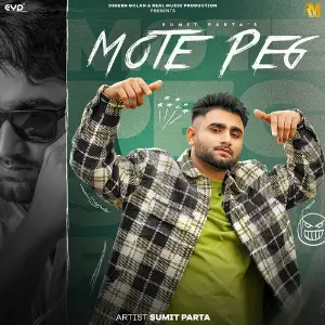 Mote Peg image
