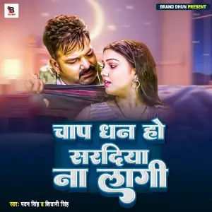 Chap Dhan Ho Sardiya Na Lagi image