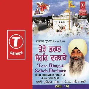 Tere Bhagat Sohe Darbare (Vol. 6) image