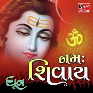 Om Namah Shivay Dhun image