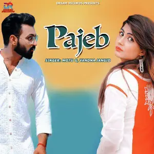 Pajeb - Single image