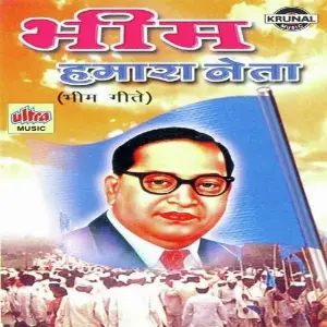Bhim Hamara Neta Hai image