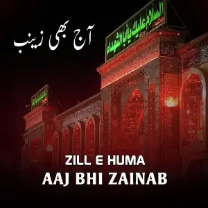 Aaj Bhi Zainab, Vol. 1 image