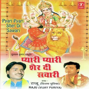 Pyari Pyari Sher Di Sawari image