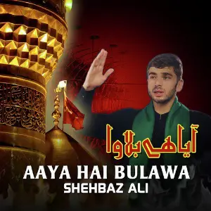 Aaya Hai Bulawa image