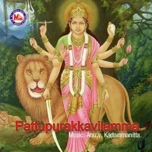Pattupurakkavilamma image