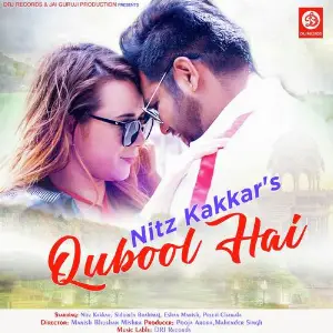 Qubool Hai image