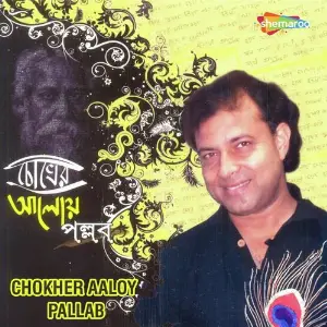 Chokher Aaloy Pallab image